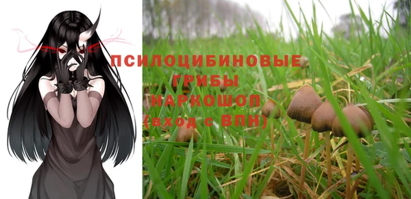 молекула духа Алзамай