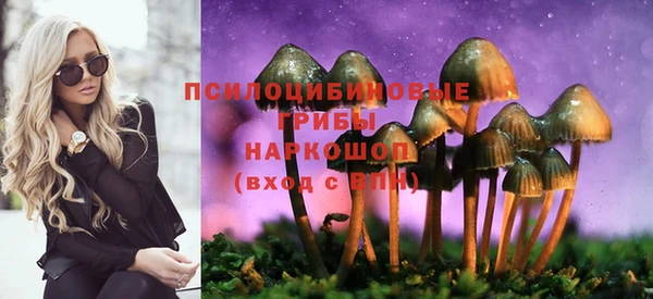 гидропоника Алексин