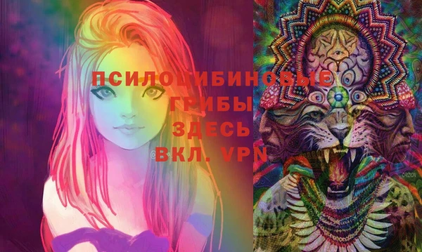 молекула духа Алзамай